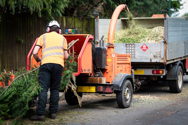 Best Lawn Watering Services  in Panhandle, TX