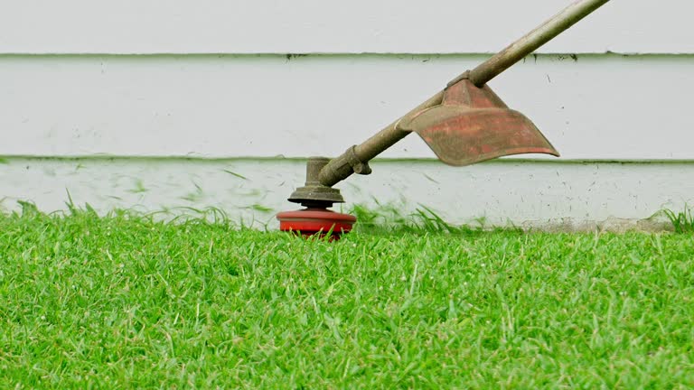 Best Tree Maintenance Programs  in Panhandle, TX