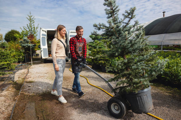 Mulching Services in Panhandle, TX